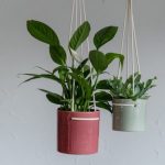 Kai Hanging Cylinder Planter, Ivyline