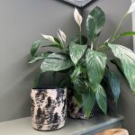 Atlas Reactive Glaze Smudge Planter, Ivyline