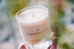 Caledonian Forest Candle - Image 2
