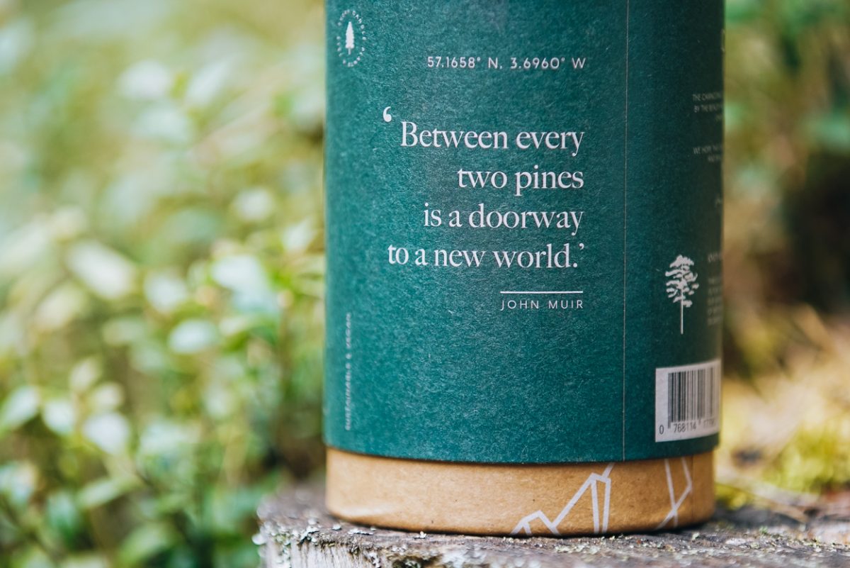 Caledonian Forest Candle - Image 4