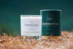 Caledonian Forest Candle - Image 5